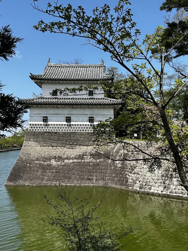 An ancient white Japanese castle stands above a green coloured moat with a blue sky behind