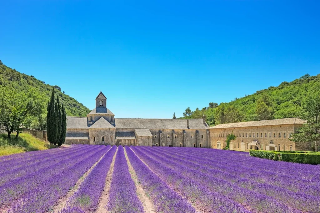 Abbey of Senanque Provence