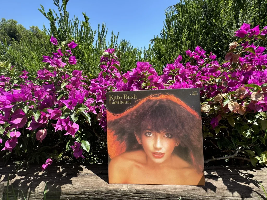 the back cover of Lionheart, the Kate Bush album recorded in the South of France 