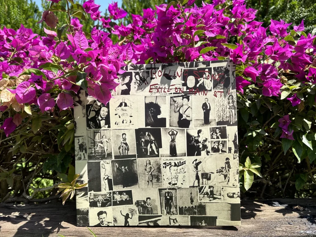 The album Exile on Main Street standing up against bright purple flowers from a garden in the South of France